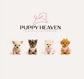 Puppy Heaven –...