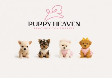 Puppy Heaven –...